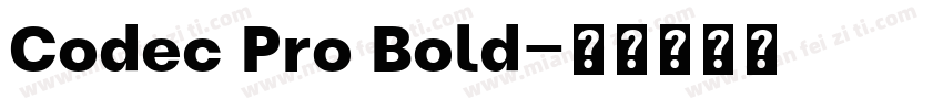 Codec Pro Bold字体转换